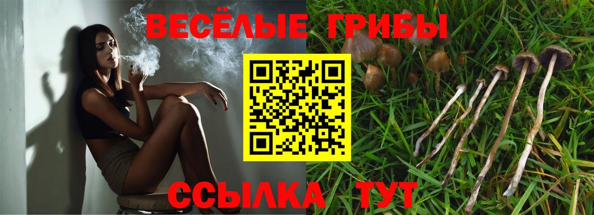 Моршанск  Псилоцибиновые грибы мицелий  Вход с VPN 