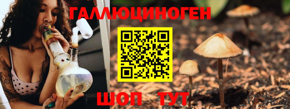 Галлюциногенные грибы GOLDEN TEACHER Моршанск